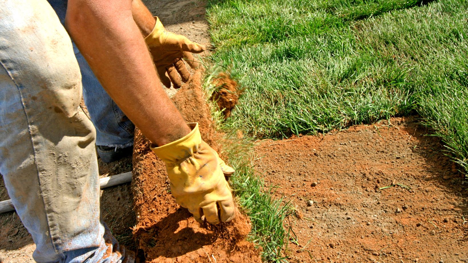 black rocks for landscaping bulk