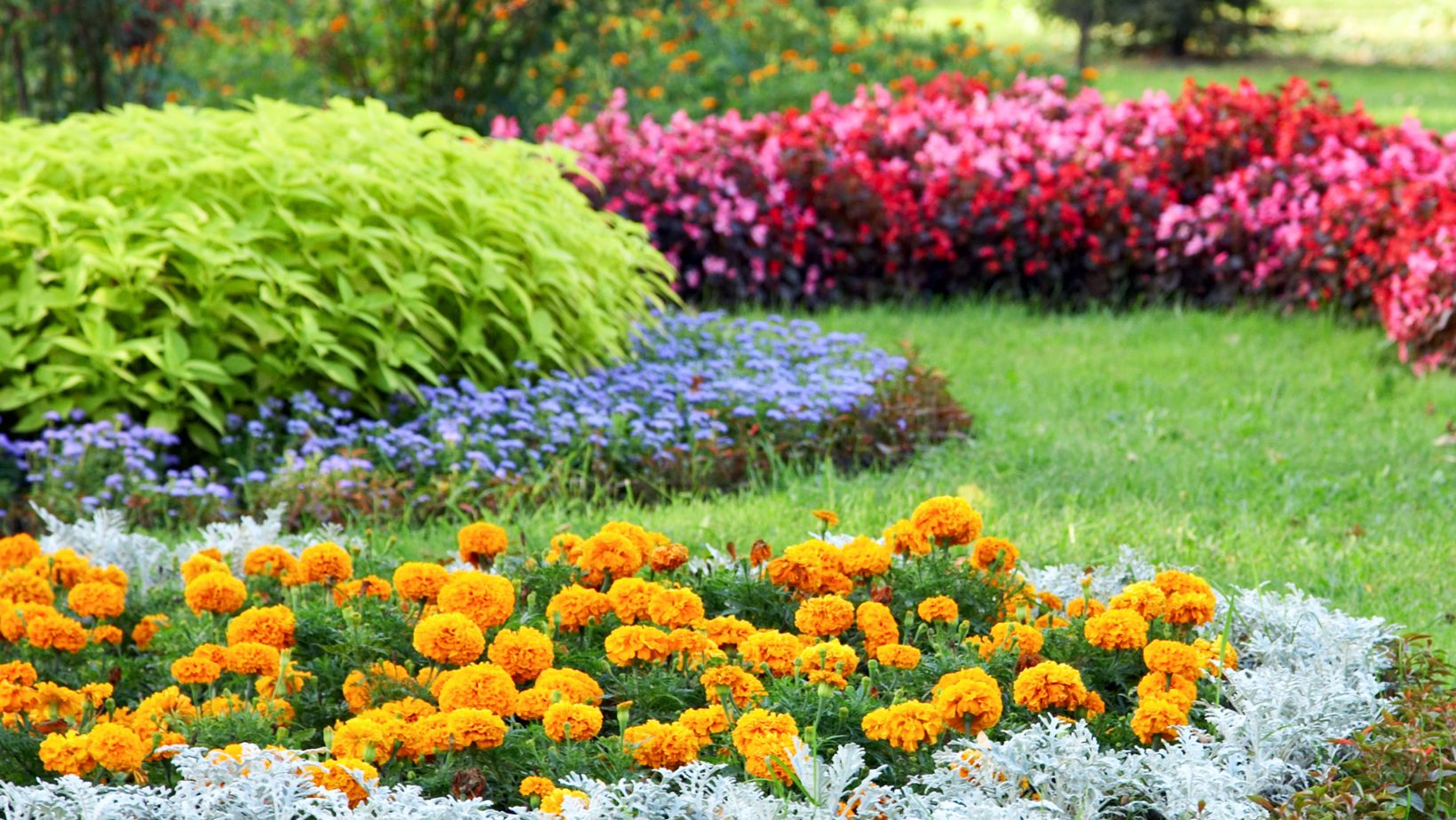 landscaping near me lawncarespring.com